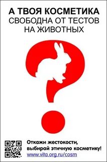 Почему запретили тесты