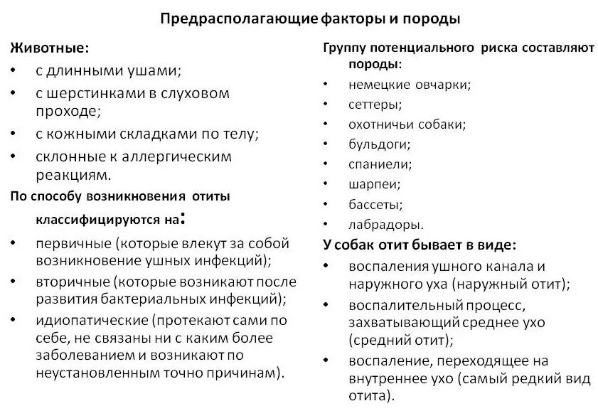 Острый Гнойный средний отит классификация. Классификация отитов у собак. Воспаление уха у животных. Наружный отит классификация.