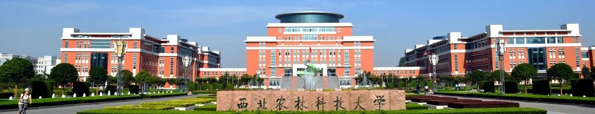 F university