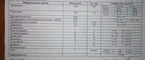 Нейтрофилы в риноцитограмме