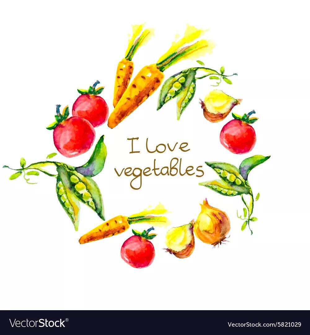Vegetable love. Овощи акварель логотип.