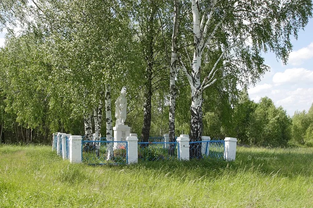 Калужский район деревня. Сельцо Кольцово Мосальский район. Красная гора Калужская область Мосальский район. Мосальский район Калужской области Сельцо. Деревня Кольцово Калужская область.