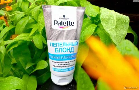 Бальзам паллет пепельный