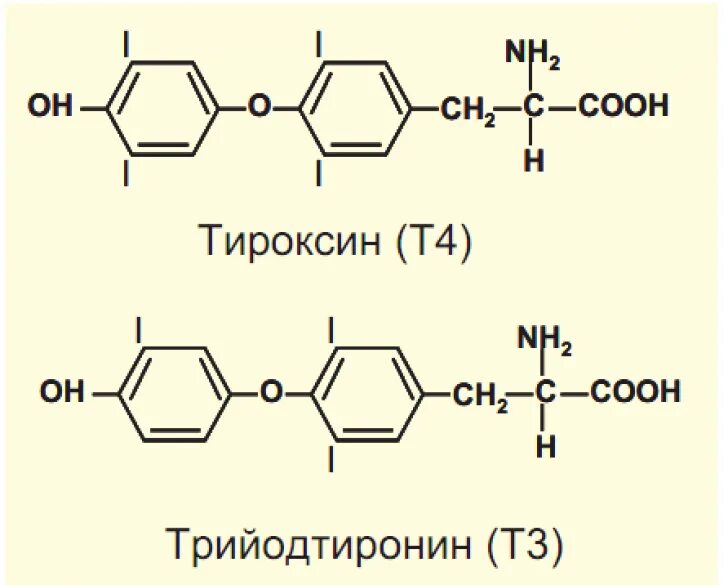 Трийодтиронин формула. Трийодтиронин структурная формула. Формула тироксина и трийодтиронина. Тироксин формула биохимия.