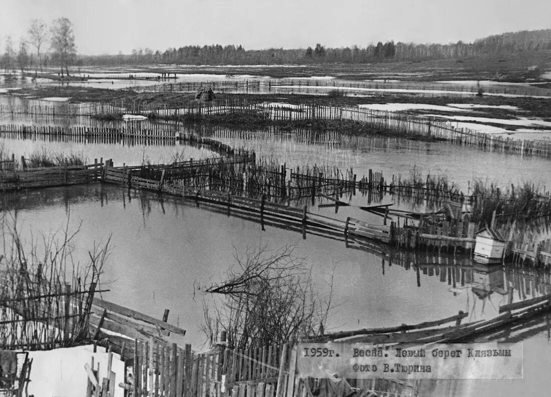 Левый берег история. Болшево Клязьма. Старое Болшево. Болшево река. Разлив Клязьмы.