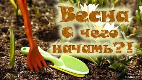 Дача с 1 апреля по 1 октября