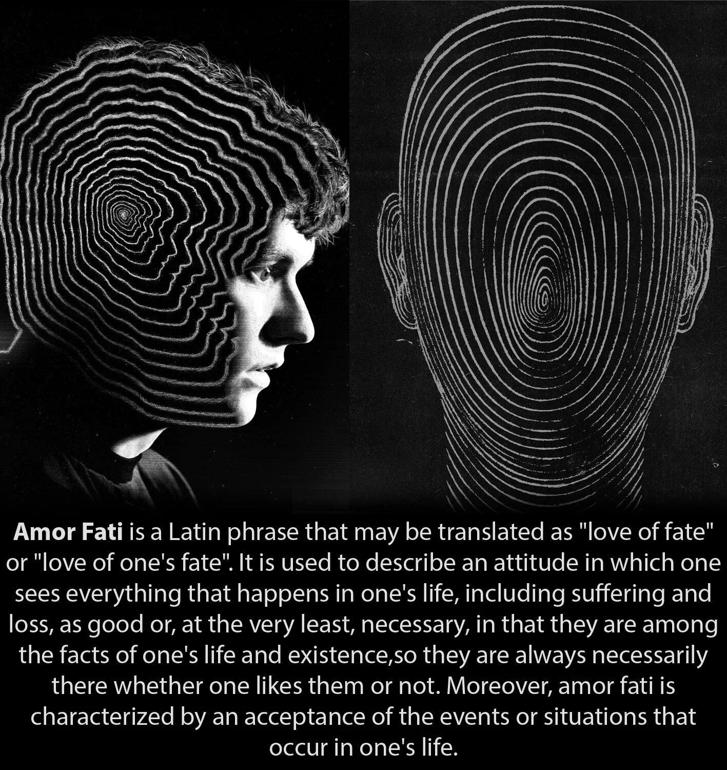 Amor fati значение. Амор фати. amor fati ницше. amor fati арт. обои на рабочий стол amor fati.