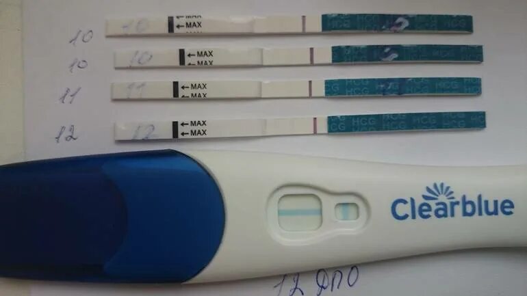 5 дней задержки пошли месячные. Отрицательный тест на беременность за 2 дня до месячных. День задержки тест отрицательный. Задержка 2 дня тест отрицательный. Задержка месячных тест отрицательный.