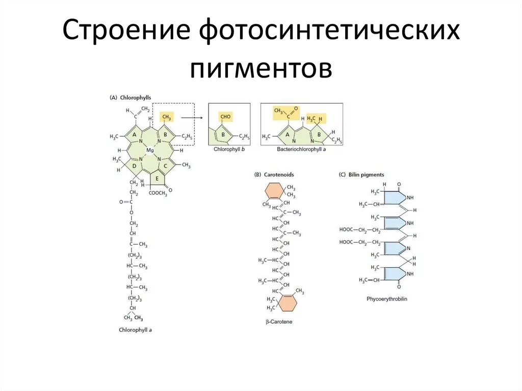 Строение пигментов