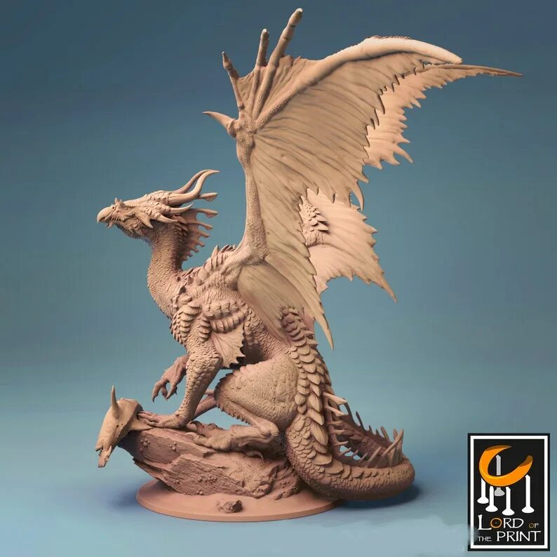 Бронзовый дракон днд. Dnd bronze dragon. дракон бронза. дракончик бронза. бронзовый дракон арт.