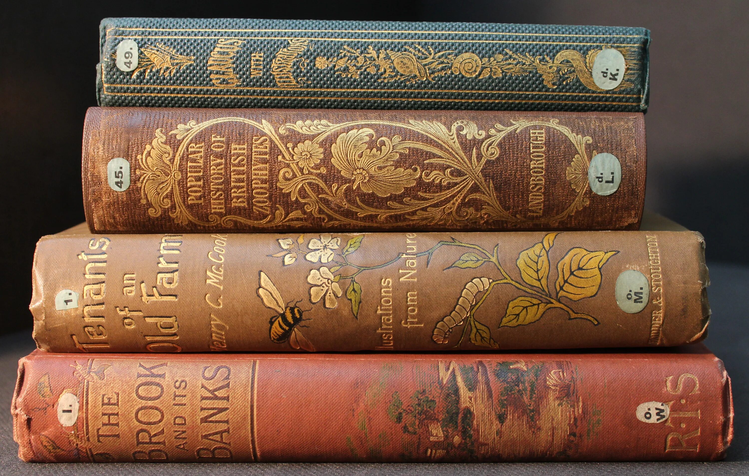 Корешок книги. Корешки русских книг. Красивые корешки книг. Красивые корешки книг. Корешки старинных книг.