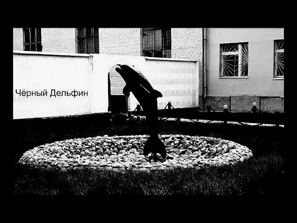 Ремикс черный дельфин гио. Гио пика. Ремикс черный дельфин гио. Пика черный дельфин. Гио пика дельфин.