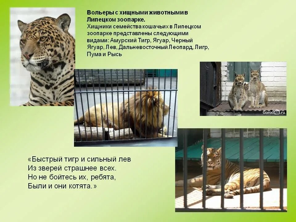 Зоопаркыште (В зоопарке). - русский язык, уроки