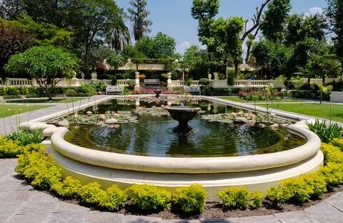 Garden of dreams
