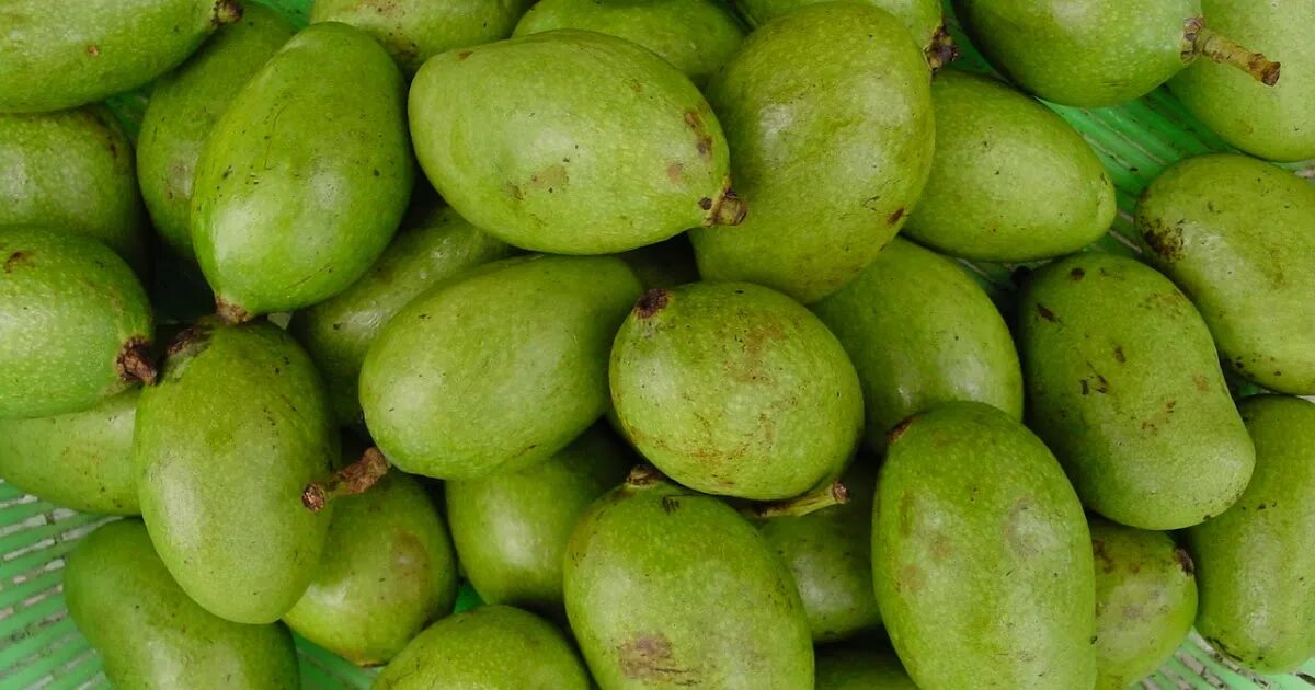 Зелёный фрукт похожий на манго. Маленький зеленый фрукт. Фрукт зелёный овальный. Зеленые плоды манго.