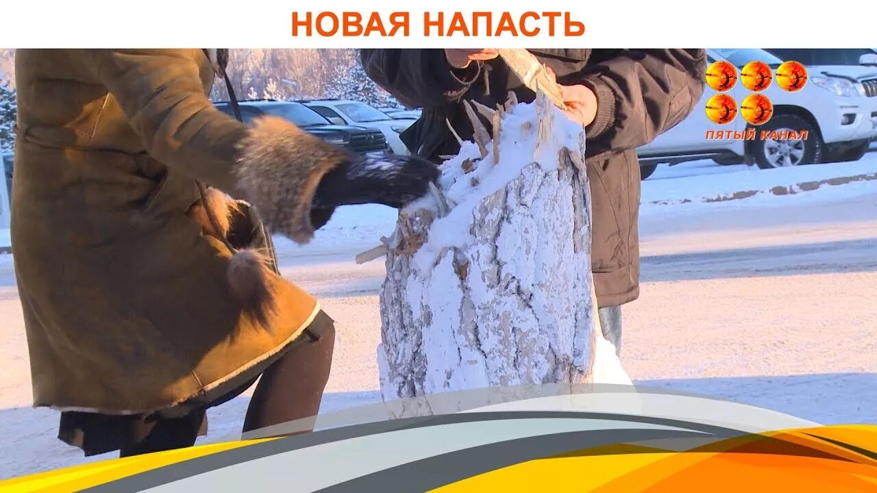 Новое нападение. Wida Winter Караганда.