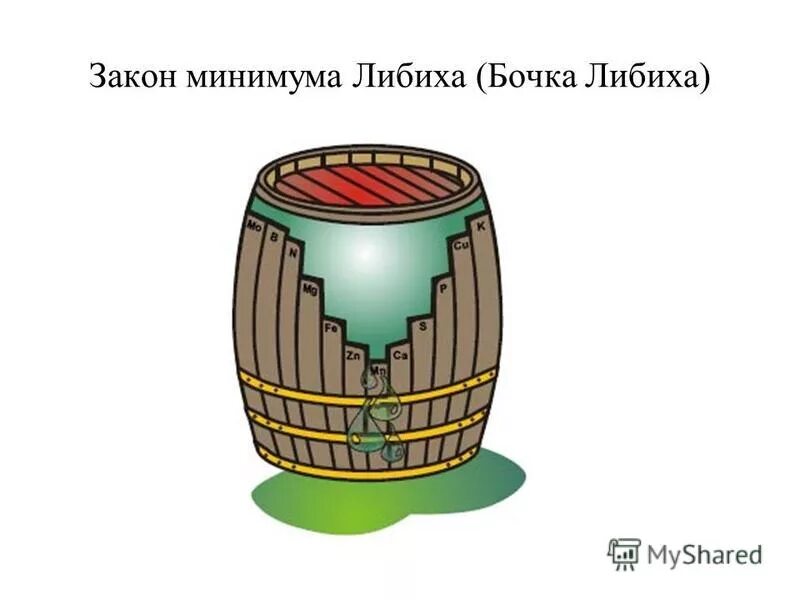 Минимума либиха. Закон минимума бочка либиха. бочка либиха и лимитирующие факторы. экологический закон бочка либиха. лимитирующий бочка либиха.