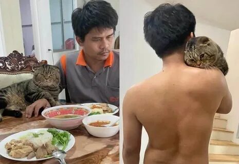 Отбивался котом
