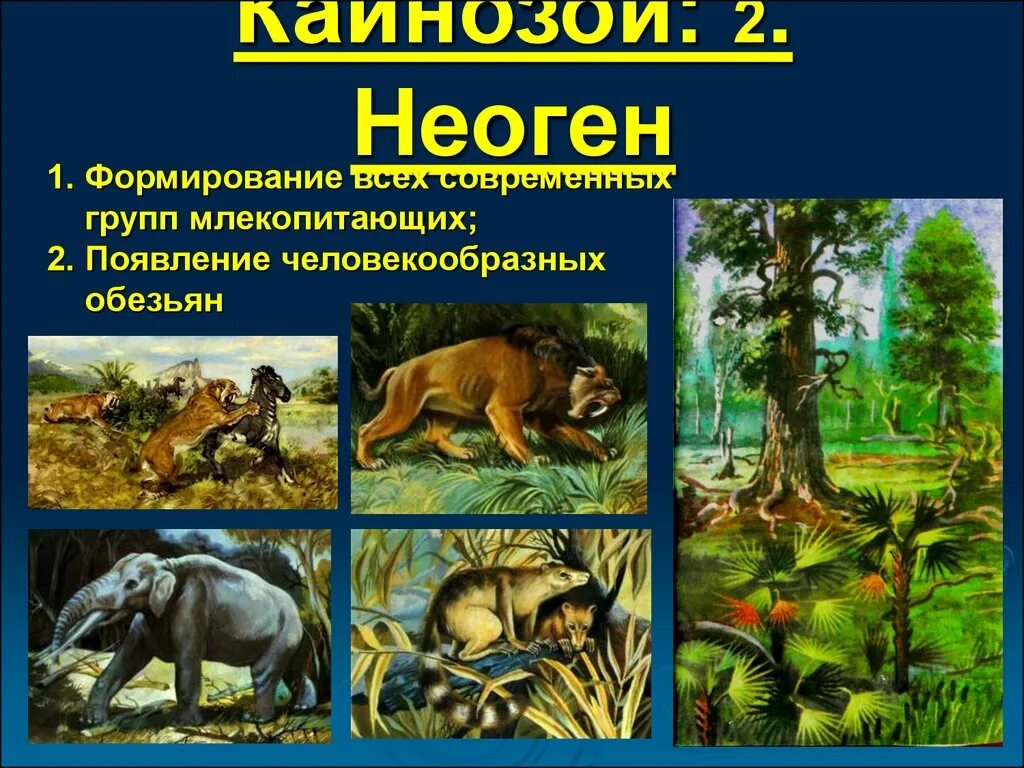 Кайнозойская период растения. Кайнозойская Эра палеоген. Кайнозой Эра неоген. Кайнозойская Эра период палеоген. Три периода кайнозойской эры.