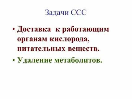 Сердечно сосудистая система задачи