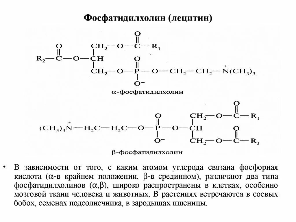 Фосфатидилхолин это. Строение лецитинов биохимия. Лецитин функции биохимия. Структура фосфатидилхолина формула. Фосфатидилхолин строение формула.