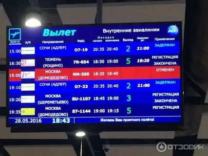 Адлер расписание самолетов завтра