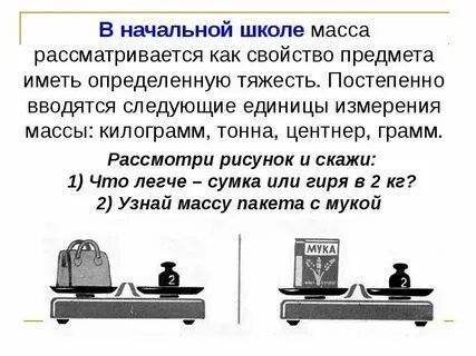 Студенистая масса