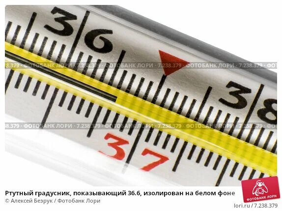 Почему градусник под мышкой. Градусник 36.6. градусник ртутный 36.6. фото градусника 36.6. фото градусника 36.6 ртутный.