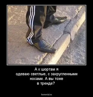 Фразы вовы адидаса