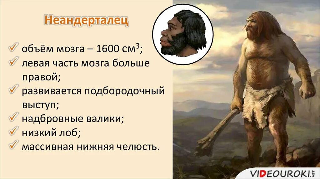 Читать неандерталец 2. Читать неандерталец 2