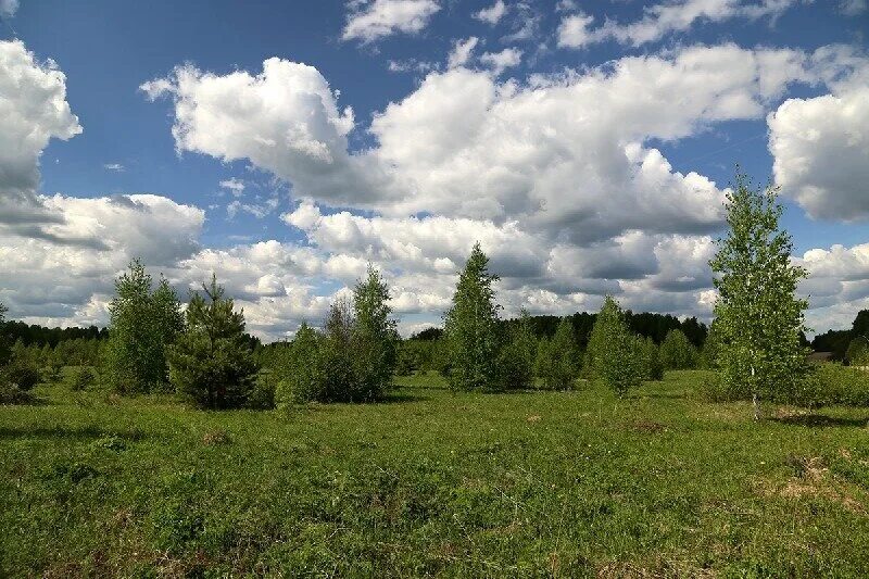 Земельный участок город нея. Земельный участок город нея. Деревня садовка ульяновская область. Земельный участок город нея. С курья купить землю сельхозназначения.