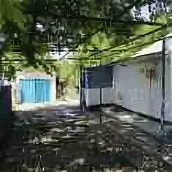 Погода в курортном ленинского