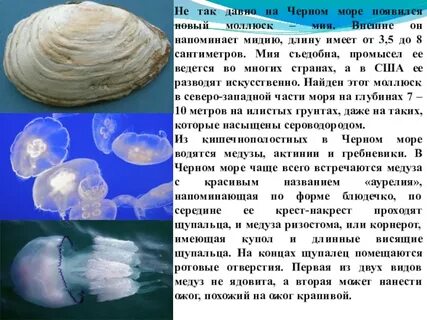 Как образовалось море