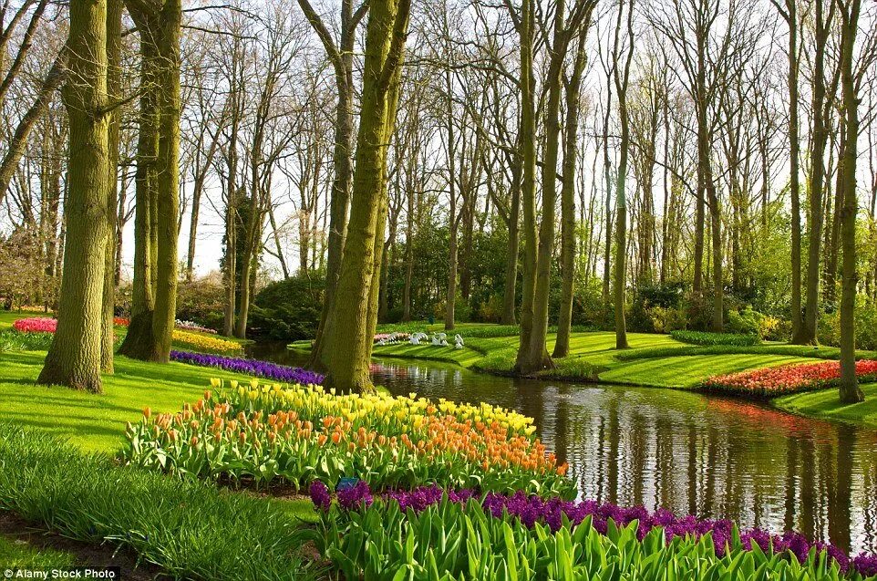 Парк какой прекрасный. Флауэрс Гарден парк. Нидерланды Ботанические сады. Цветочные сады Бутчартов, Канада. Парки лесопарки скверы Ботанические сады.