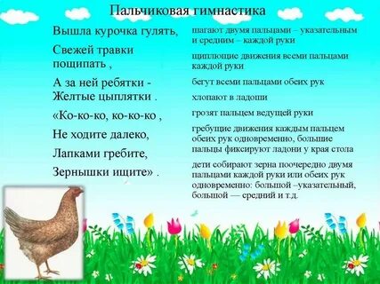 Пальчиковая гимнастика домашние птицы