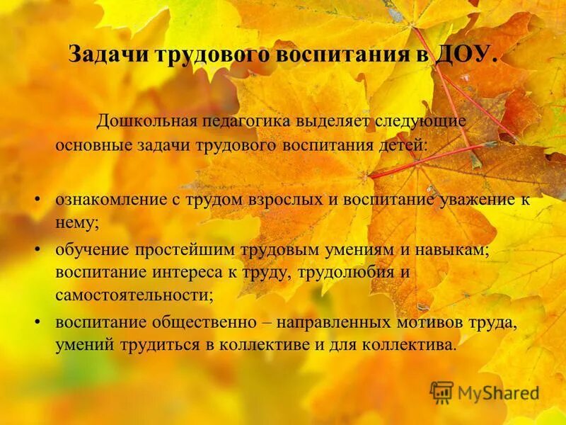 Изменения в закон об образовании трудовое воспитание. Условия воспитания дошкольников в труде. Задачи трудового воспитания в детском саду. Условия трудового воспитания дошкольников. Условия трудового воспитания в дошкольном учреждении..