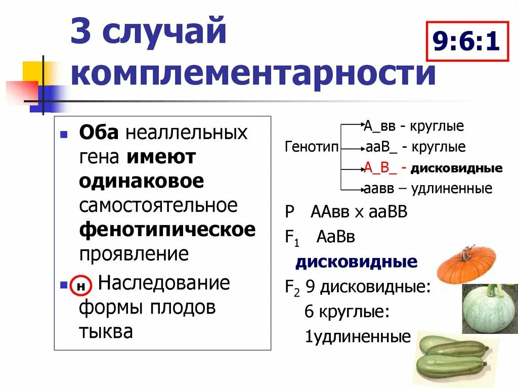 Почему у женщин имеющих в генотипе. Комплементарность и эпистаз. Задачи на комплементарность генетика. Расщепление 9 3 4 комплементарность. Комплементарное наследование неаллельных генов.