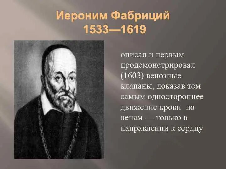 Фабриций Аквапенденте. Джероламо фабриций. Фабриций вклад в медицину. Иероним фабриций описал 32 этапа.