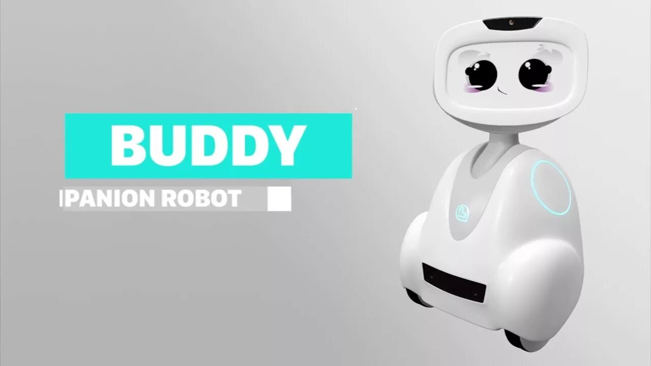 Робот buddy. Робот компаньон. Игра робот Бадди. Робот buddy для пожилых.