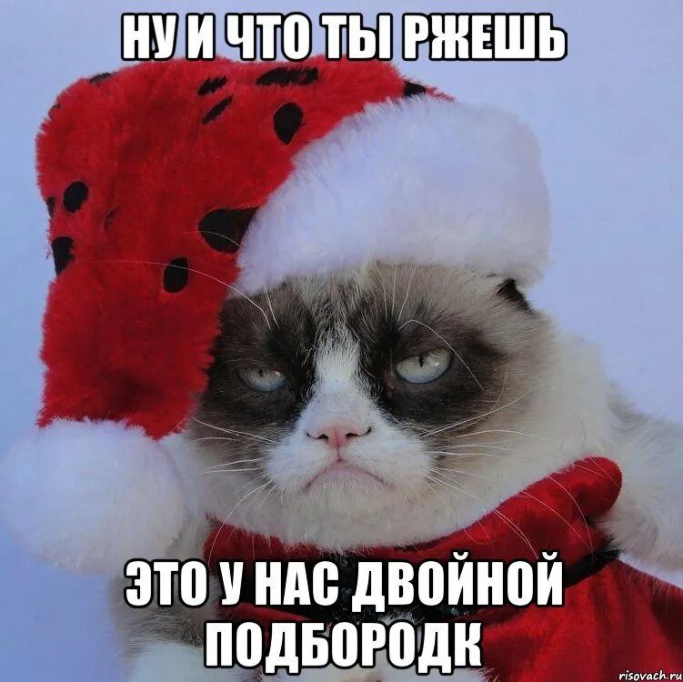 И что ты ржешь
