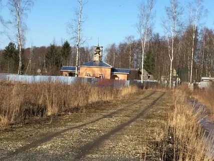 Погода в приладожском ленинградской