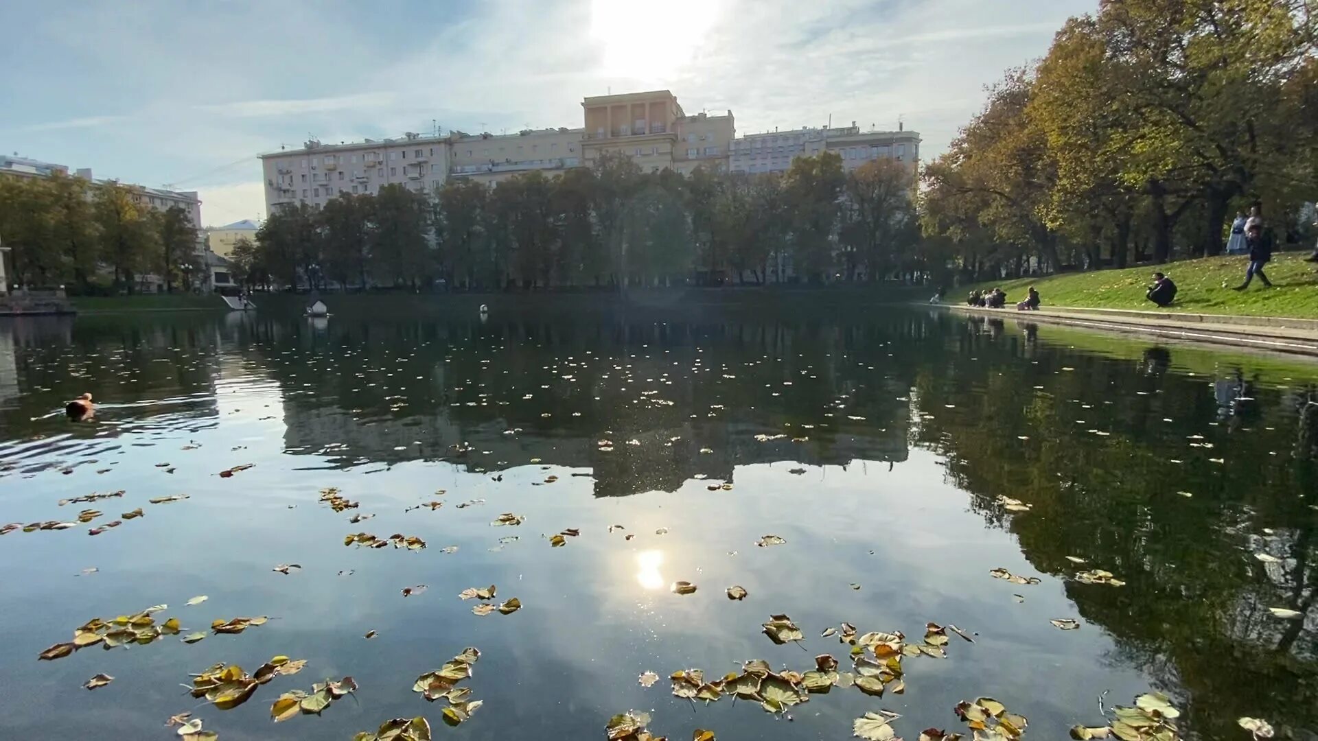 Сквер Патриаршие пруды. 16. Патриаршие пруды ЦАО,. Патриаршие пруды Москва 2023. Царицыно Патриаршие пруды. Патриаршие пруды камеди