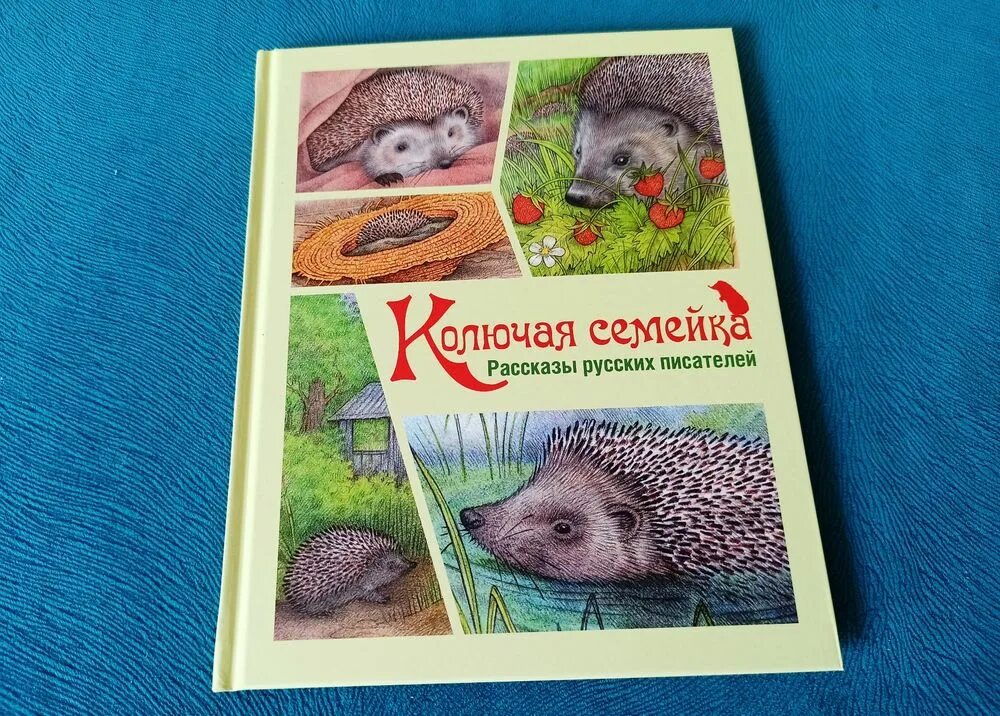 Скребицкий колючая семейка. Колючая семейка. А. Колючая семейка : повесть. Колючая семейка книга.