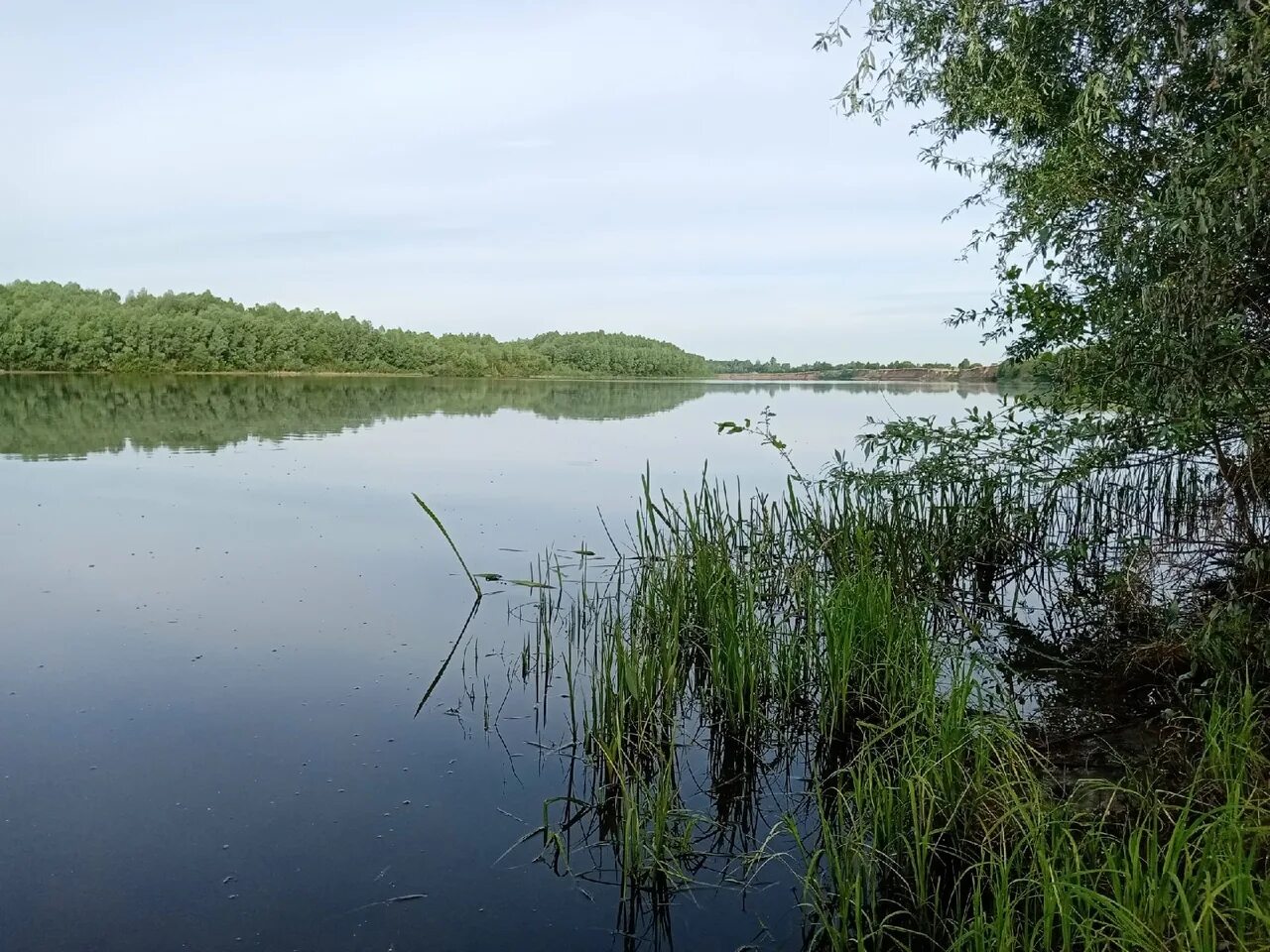 Вода в реке сура. Река Сура Ядрин. Рыбалка Сура Ядрин. Река Сура Ядрин рыбалка. Сура речка Ядринский район.