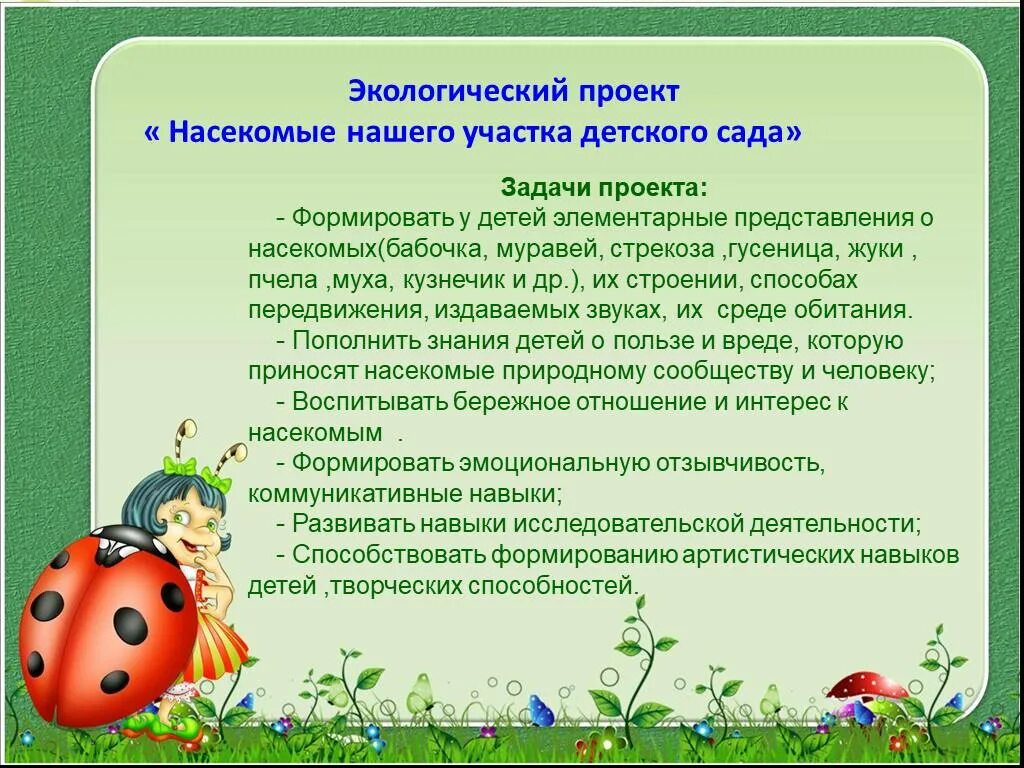 Тема насекомые в доу. Проект про насекомых в детском саду. Детям о насекомых в детском саду. Темы проектов насекомых в ДОУ. Проект мир насекомых в детском саду.