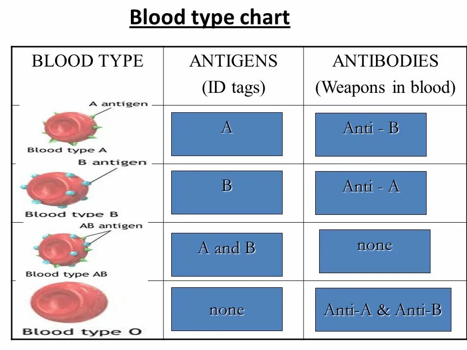 Как по английски кровь. Blood Type 1 2. Blood Type Chart. Ab Blood Type. Группы крови на английском.