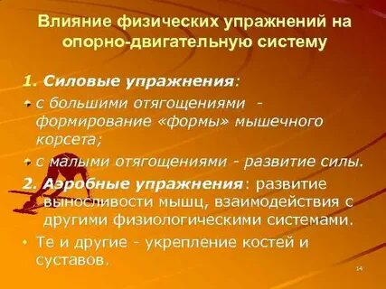 Нагрузки на опорно двигательный