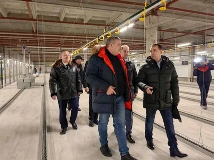 Область 45 курган последние