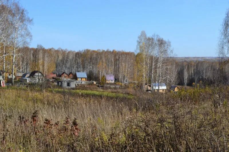 Село гусиный брод. Деревня боровушка кемеровская область. Село гусиный брод новосибирская область. Село гусиный брод. Домик красивый гусиный брод.