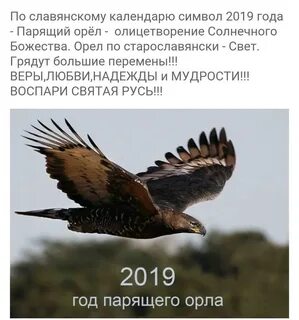 Славянский орел